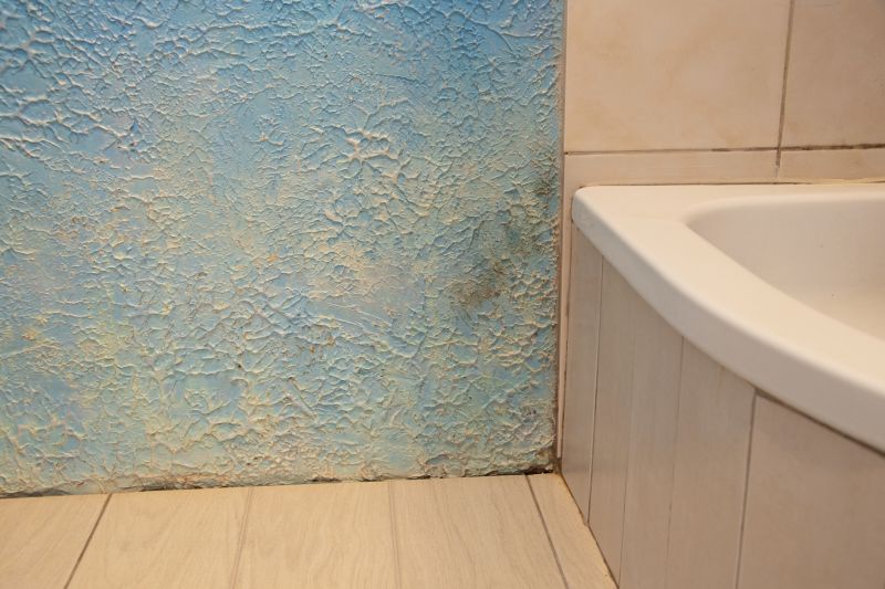 Attic Water Damage Repair in Conroe, TX