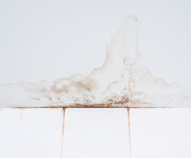 Ceiling Leak Repair Service in Charleston, SC