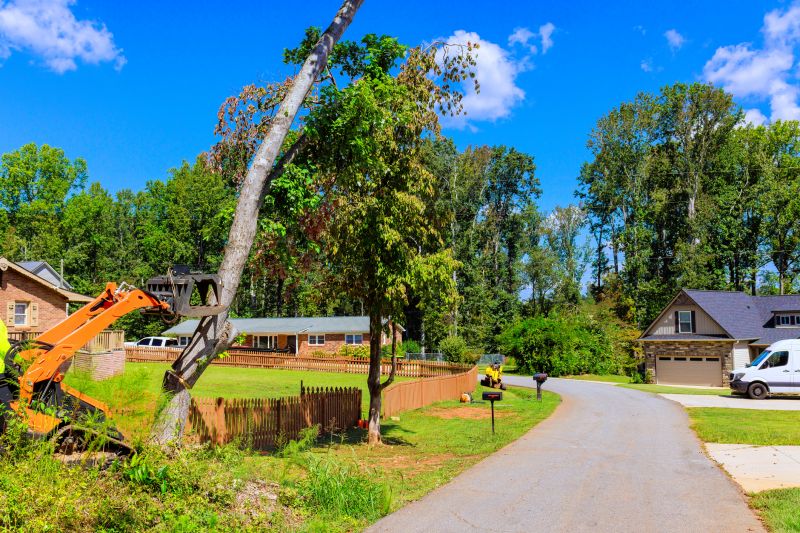 Engineered Hardwood Removal