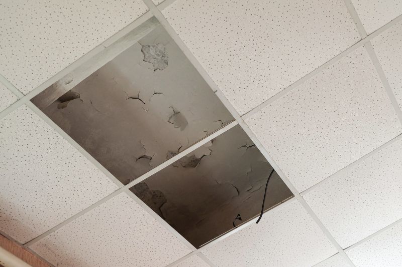Leaking Ceiling Repair in Santa Rosa, CA